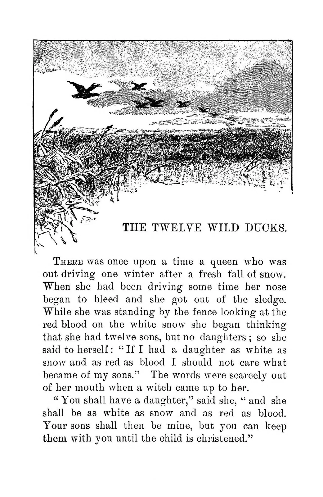 The Twelve Wild Ducks: illustrated flock above a marsh