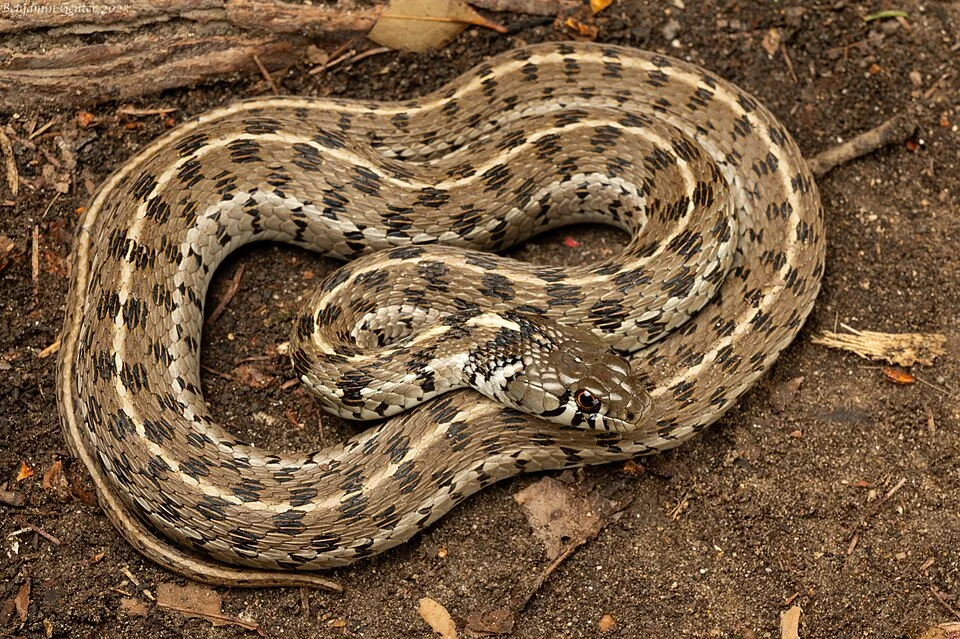 Medina County, Texas - Fall 2023