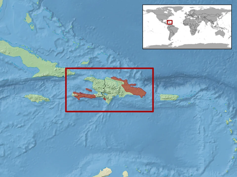 geographic distribution of Celestus sepsoides (Native:
Dominican Republic; Haiti)
