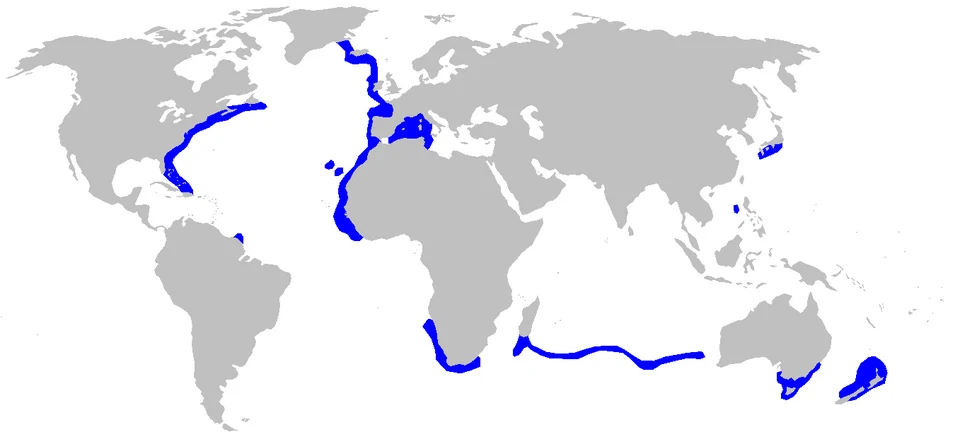 Distribution map for Centroscymnus coelolepis