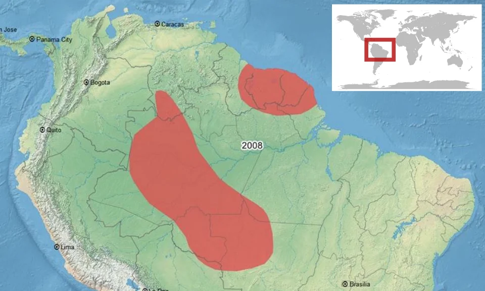 geographic distribution of Allobates brunneus