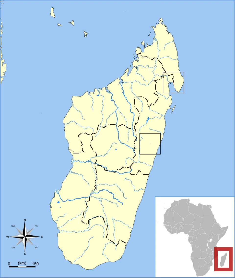 Ellerman's Tufted-tailed Rat (Eliurus ellermani) range