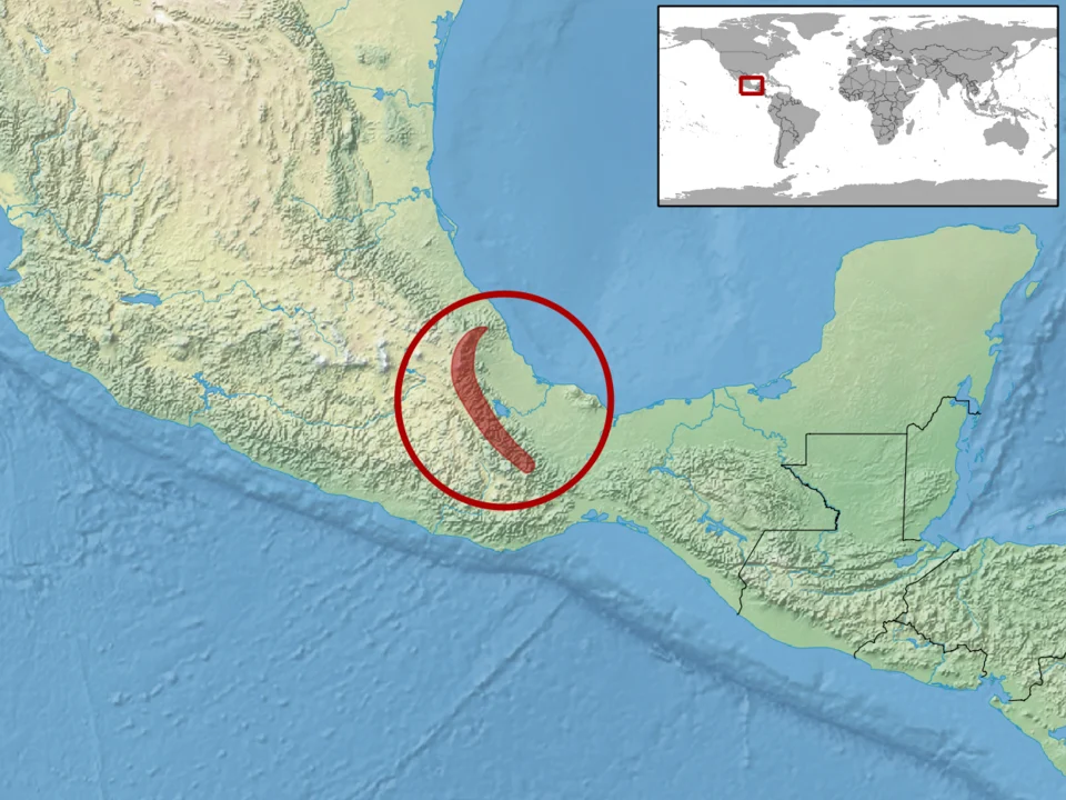 geographic distribution of Celestus enneagrammus (Native:
Mexico)