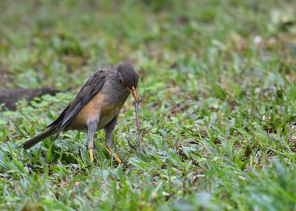 Territory Day Park, Christmas Island