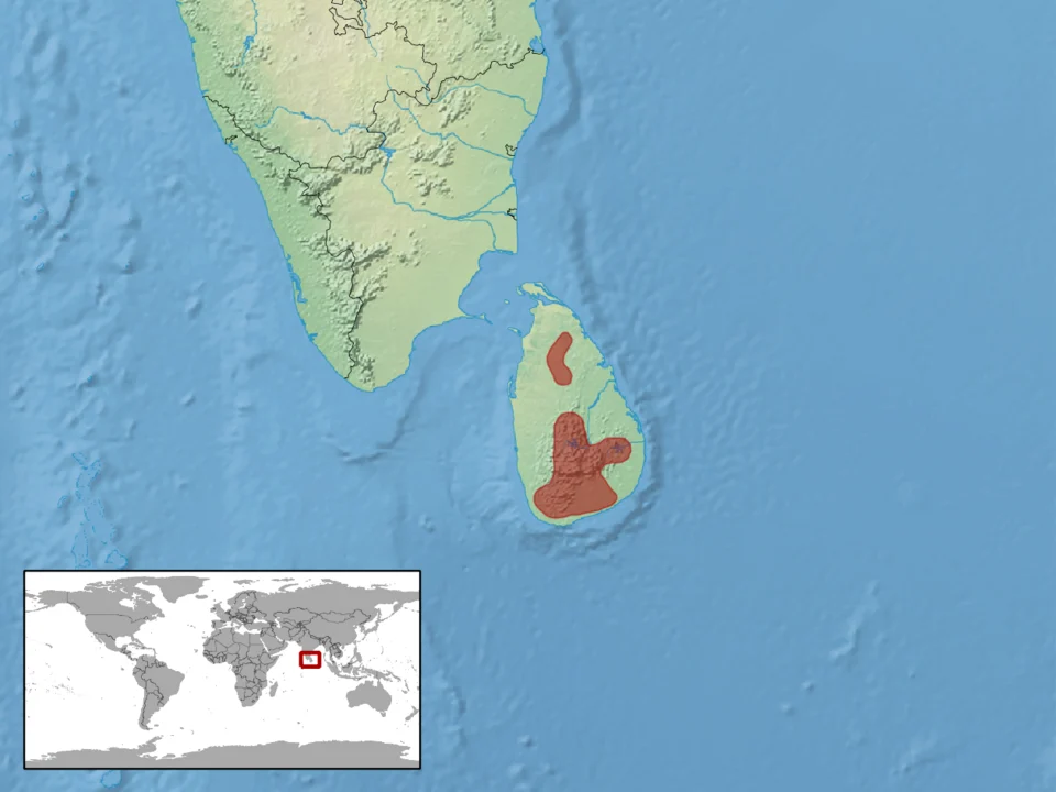geographic distribution of Geckoella triedrus (Native: Sri Lanka)