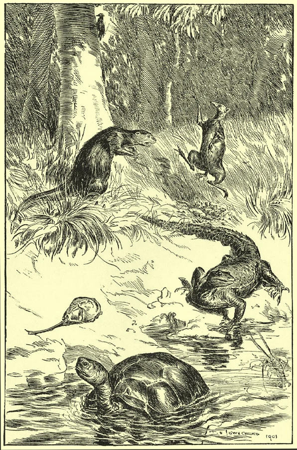 Townsend’s animal ensemble for the otter’s trial, with otter, mouse-deer, lizard, turtle and king-crab