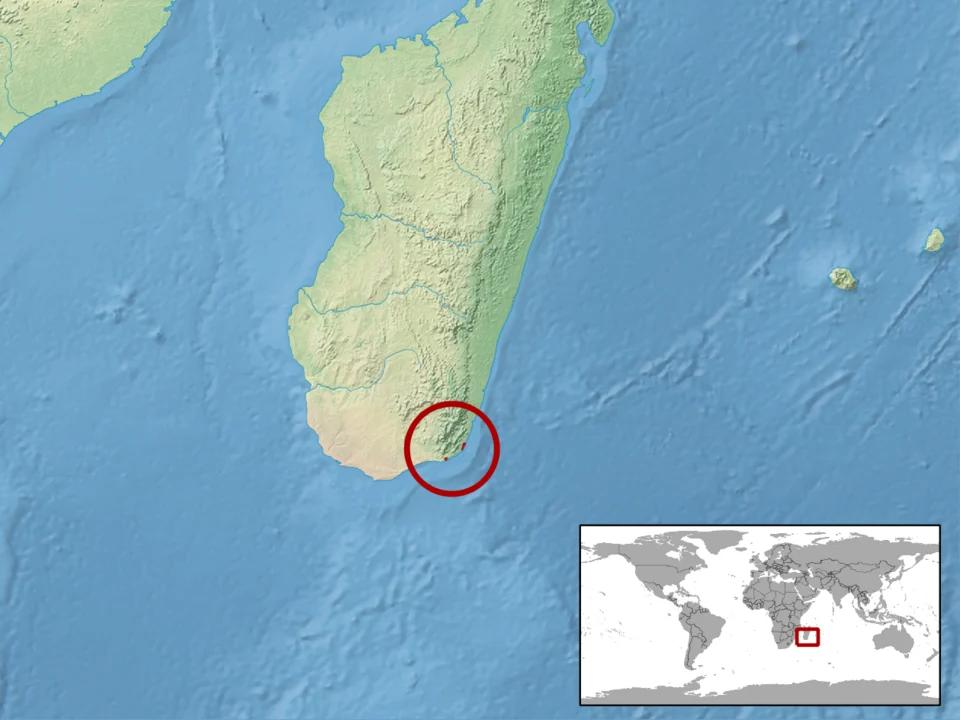 geographic distribution of Phelsuma antanosy (Native:
Madagascar)