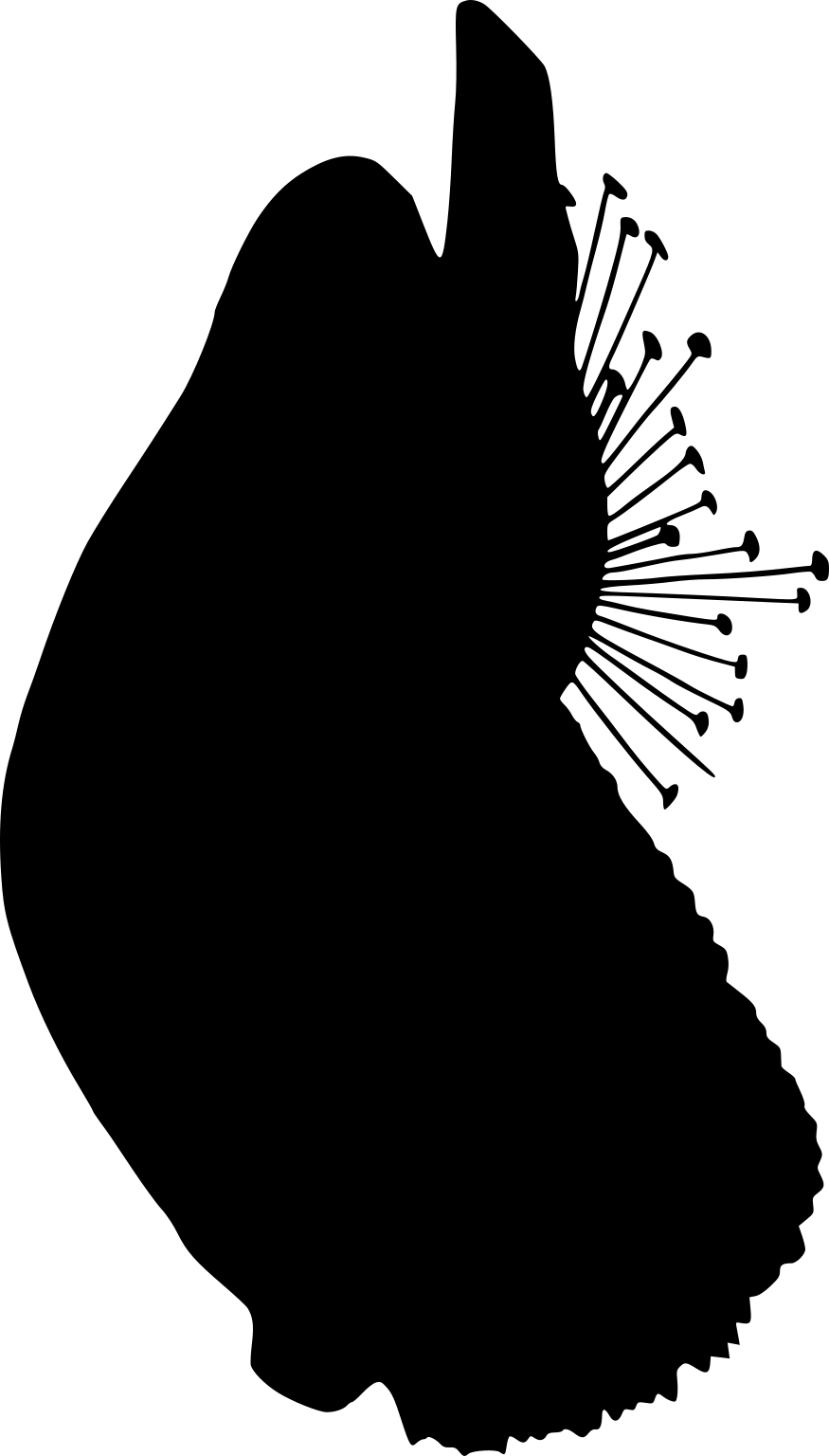 A black silhouette of a mussel shell with an irregular fan of fine byssus threads extending at one side.