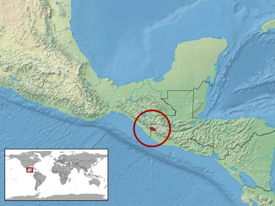 geographic distribution of Abronia matudai (Native:
Guatemala; Mexico)