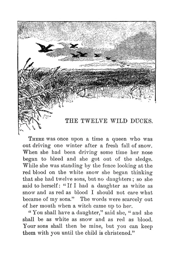 The Twelve Wild Ducks: illustrated flock above a marsh