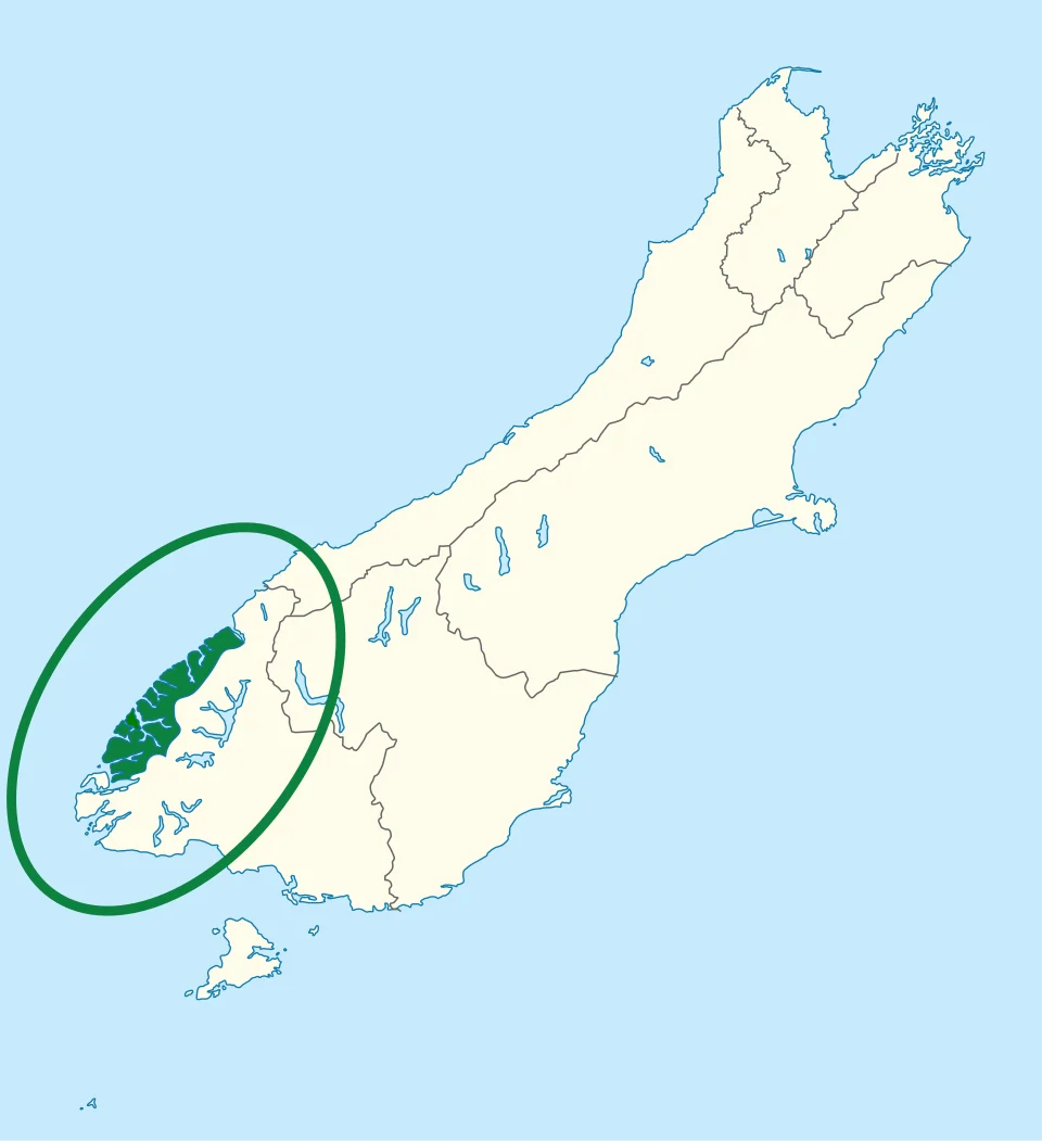 Distribution map of Oligosoma acrinasum.