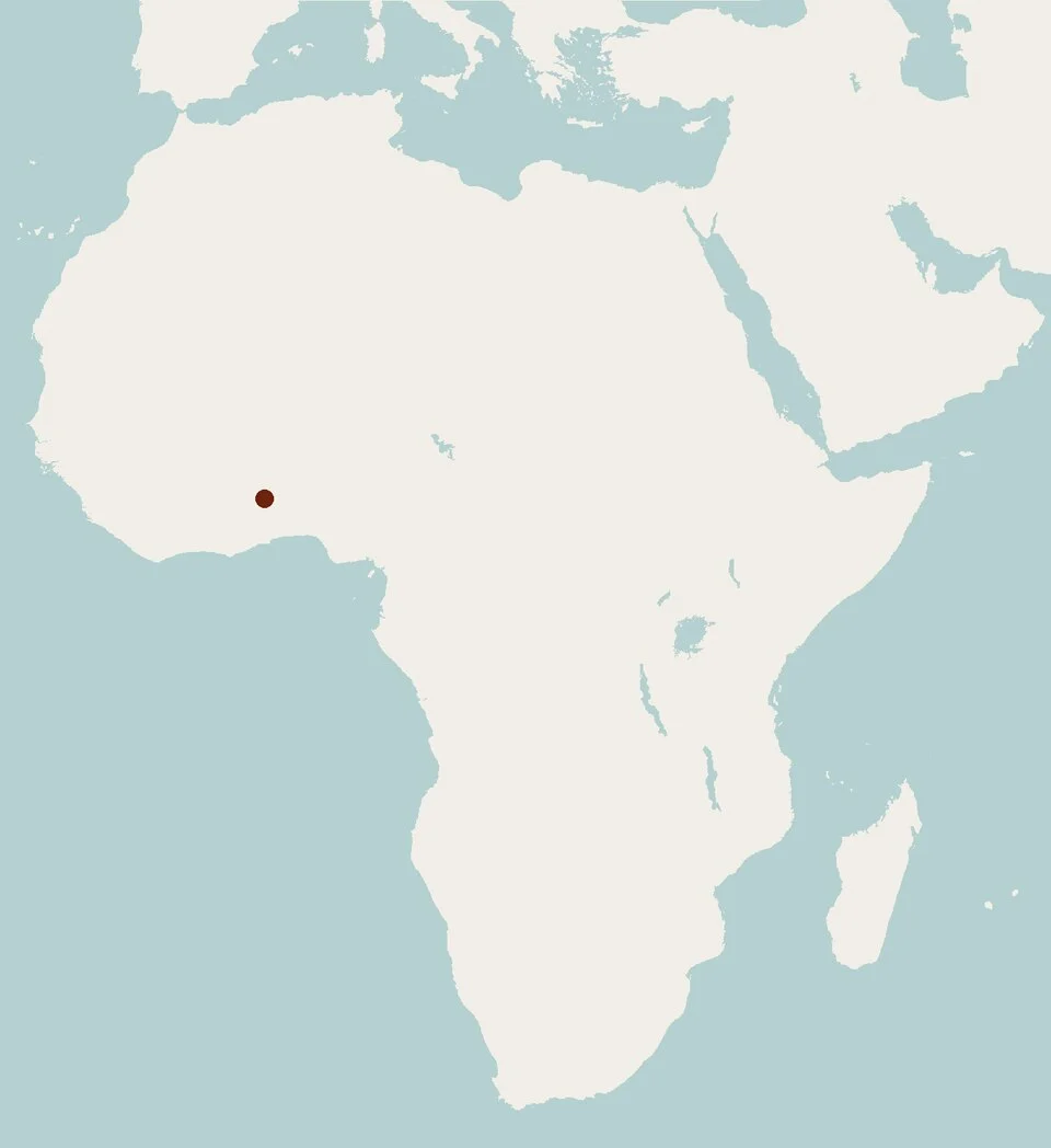 Geographical distribution of Leimacomys buettneri according to Museum specimens