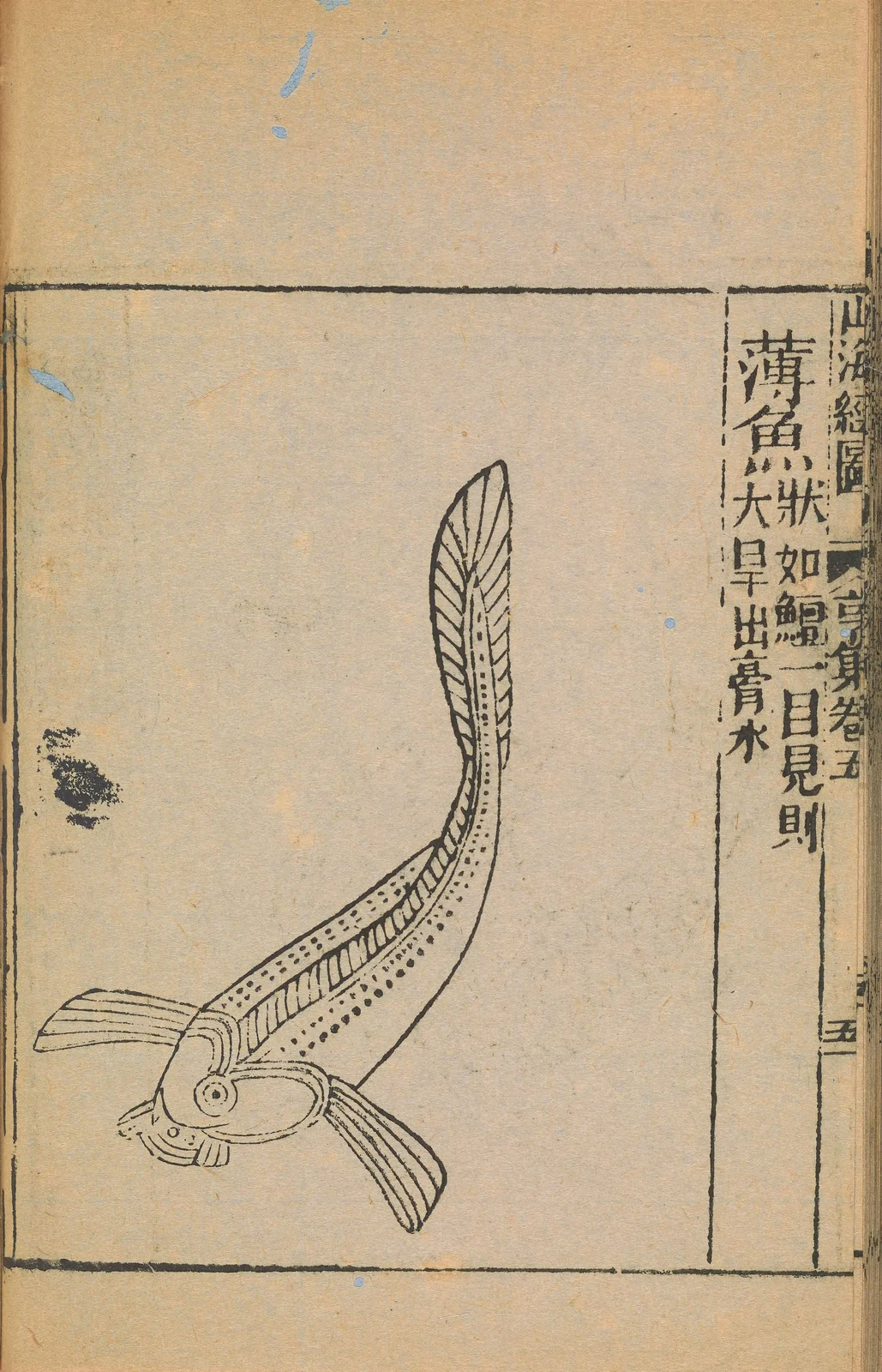 Bo fish of the Shigao River, anonymous1667 Shanhaijing illustration