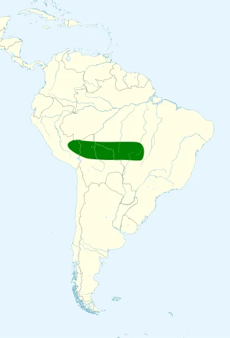 Range map of Behn's Big-eared Bat (Glyphonycteris behnii)