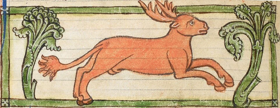 Parandrus in Harley MS3244 medieval bestiary