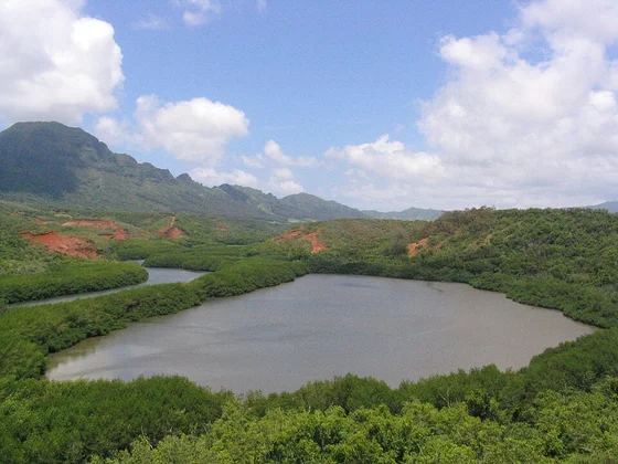 Menehune