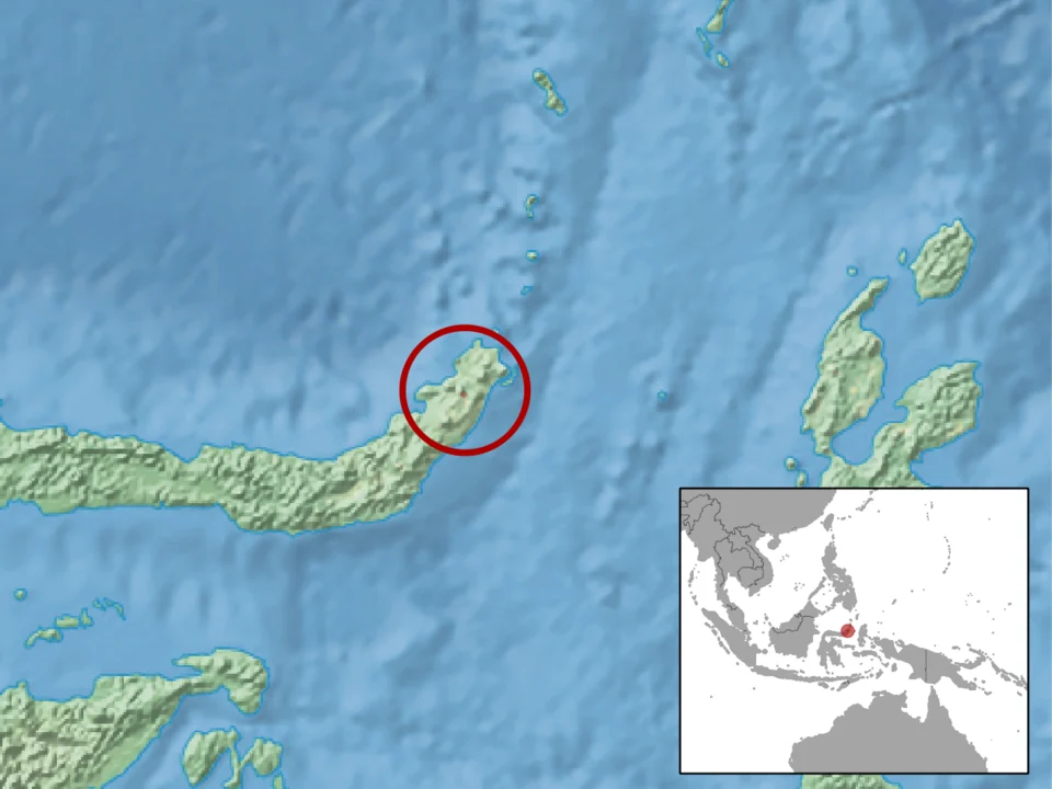 geographic distribution of Taeromys taerae