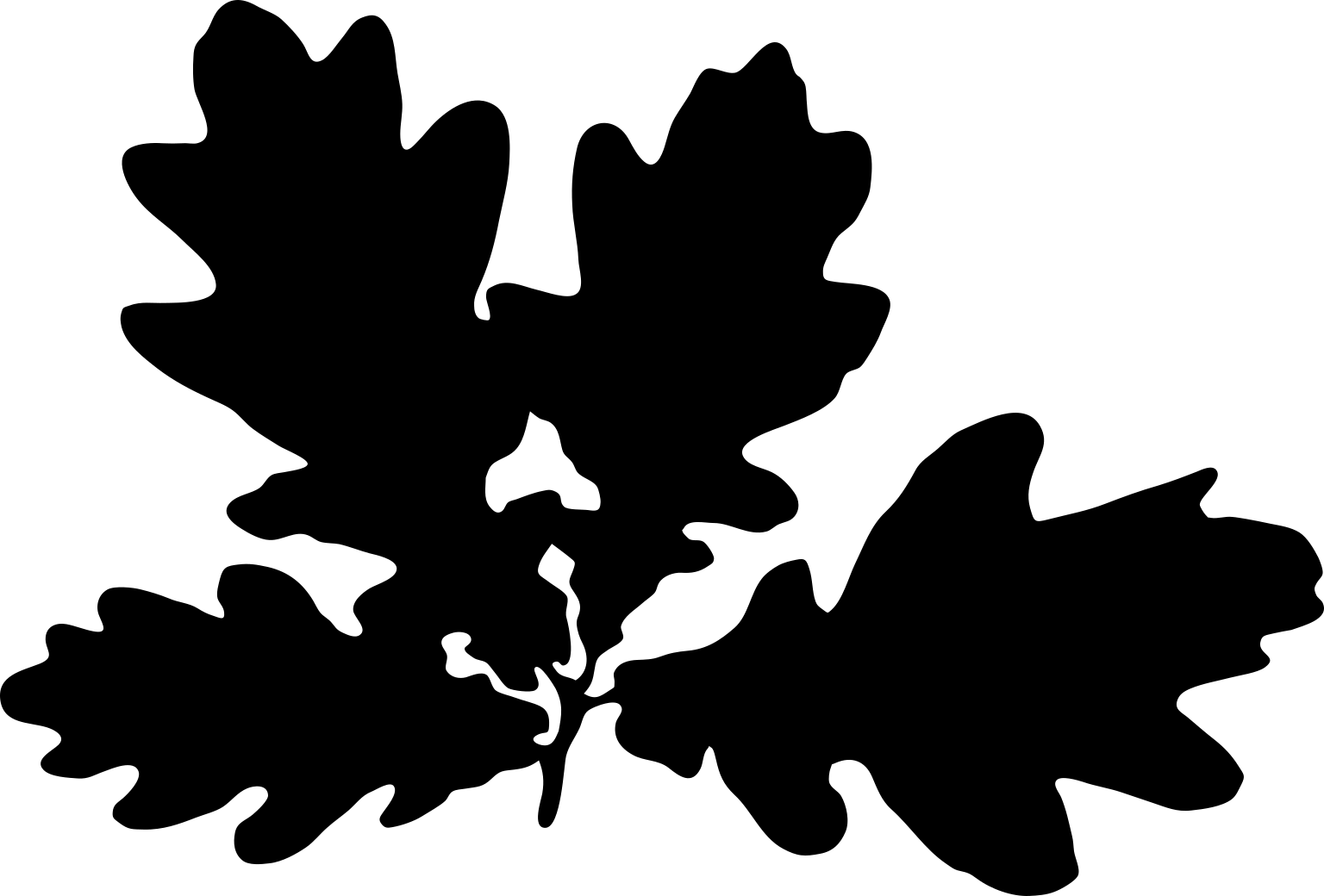 A black silhouette of an oak twig bearing several rounded lobed leaves.