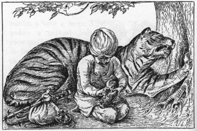 Kipling’s grateful tigress having a thorn removed from her paw, 1894