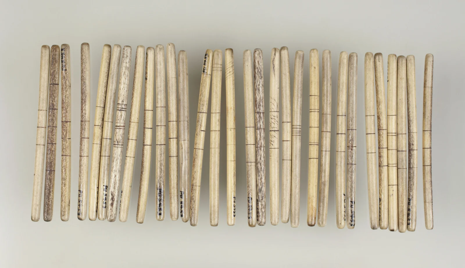 Thirty slender bone game sticks arranged beside one another on a neutral background, with varied incised horizontal markings and visible museum numbers.