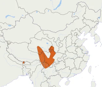 Range area of Moupin pika (Ochotona thibetana).
Important note: The original IUCN Red List spatial data contained several mistakes due to inaccurate processing with data obtained prior to transfer of two subspecies to Ochotona nubrica. These mistakes were admitted by Andrew Smith's team in course of personal correspondence with Zorog.