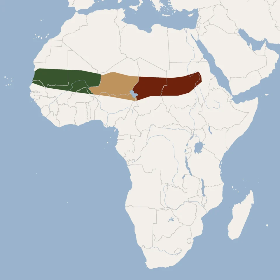 According to Happold, 2013
