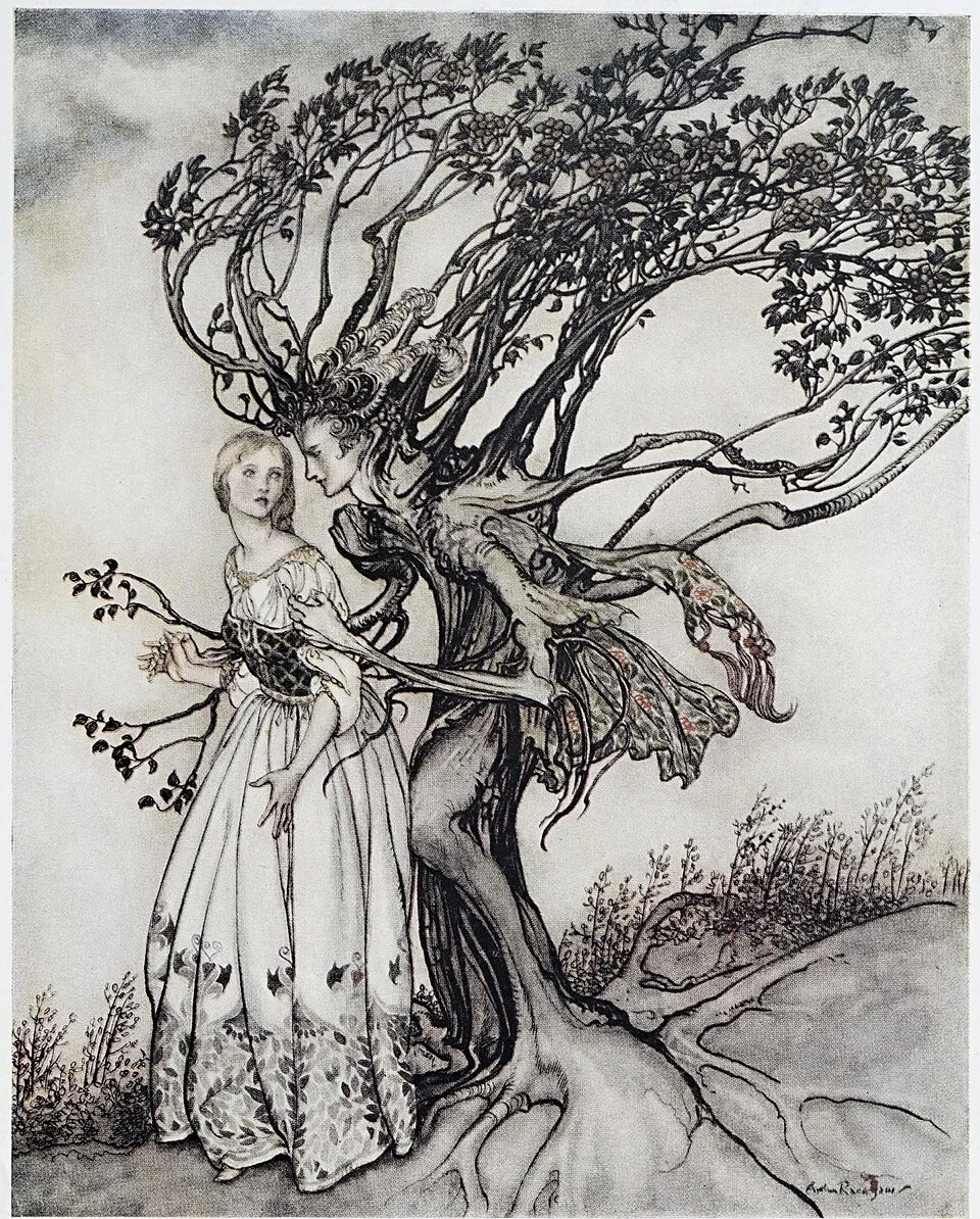 Enchanted prince released from tree form, The Old Woman in the Wood, Rackham
