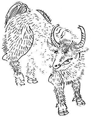 Qiongqi