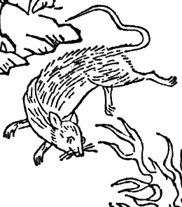 Huoshu