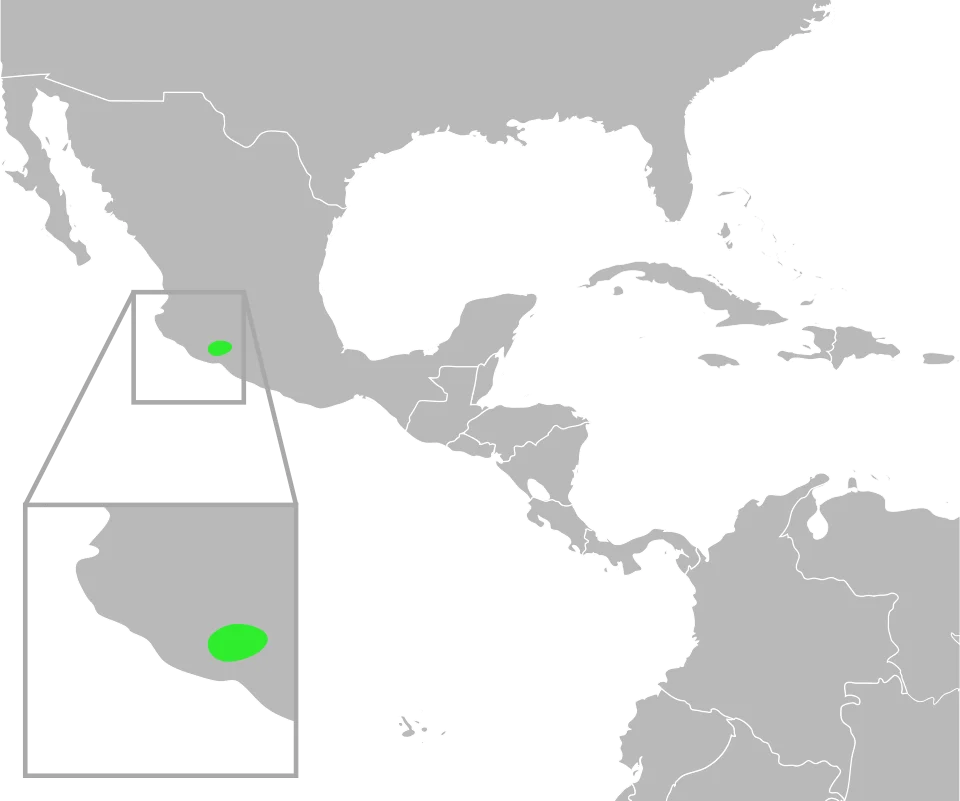 The distribution of Bufo pisinnus. Data from Mulcahy, D.; Williams, T.; Mendelson, III, J; and Sites, J. (2008) "Phylogenetic Relationships Among Mesoamerican Bufonids." Poster presented at the 2009 Joint Meeting of the American Society of Ichthyologists and Herpetologists. Abstract available here, p. 58.