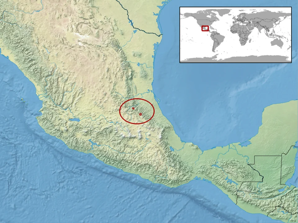 geographic distribution of Ficimia hardyi (Native: Mexico)