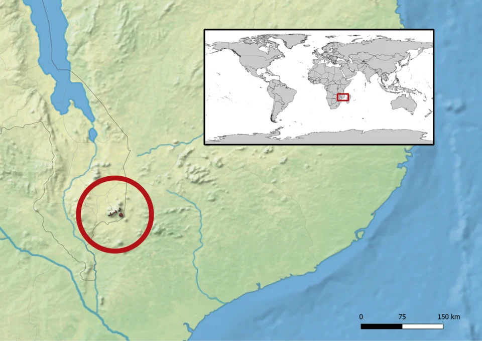 Aire de répartition de l’espèce Nadzikambia mlanjensis.