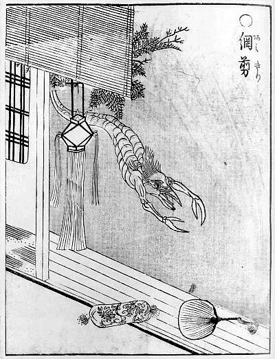 Amikiri
