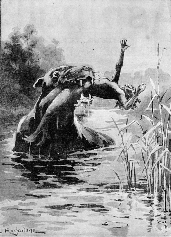 1890 Illustrated Australian News depiction of the Bunyip