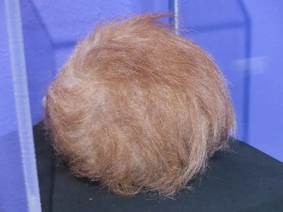 Tribble