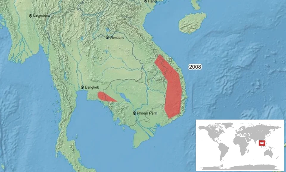geographic distribution of Microhyla annamensis
