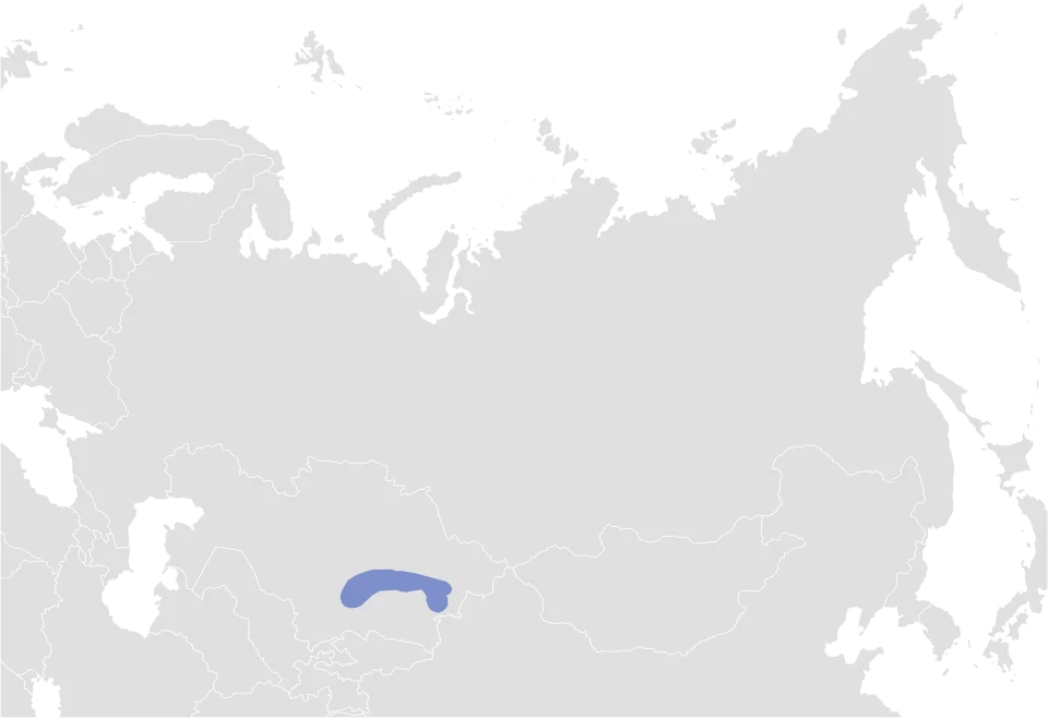 Kazakh pika (Ochotona opaca) range, along with national borders