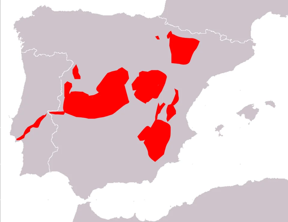 Mapa de distribución de Microtus cabrerae