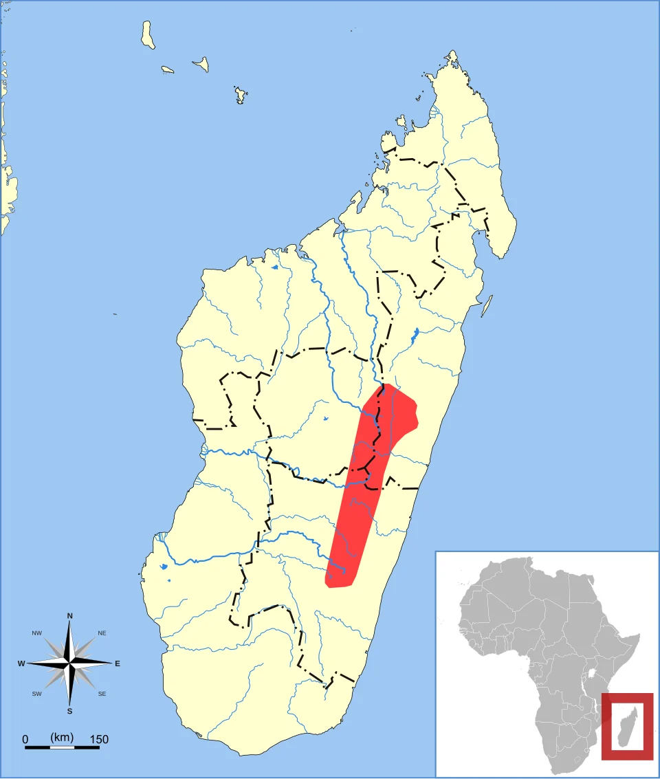 Malagasy Serotine (Neoromica matroka) range
