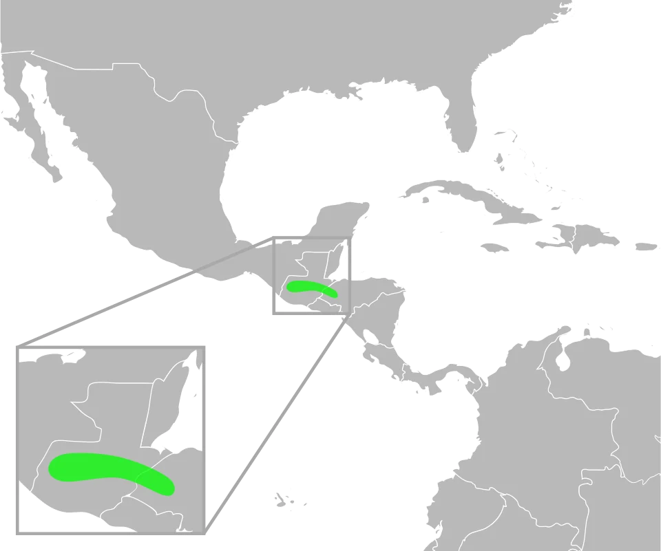The distribution of Bufo ibarrai. Data from Mulcahy, D.; Williams, T.; Mendelson, III, J; and Sites, J. (2008) "Phylogenetic Relationships Among Mesoamerican Bufonids." Poster presented at the 2009 Joint Meeting of the American Society of Ichthyologists and Herpetologists. Abstract available here, p. 58.