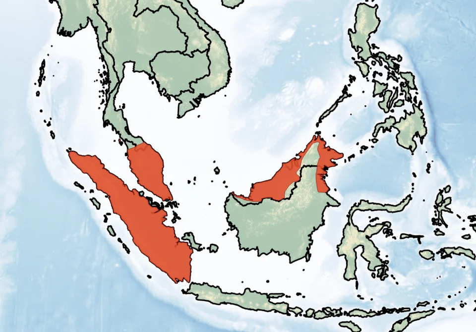 Distribution of Hylopetes platyurus. Red - Extant (resident).