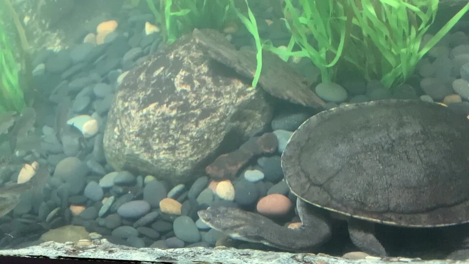 At the Bronx Zoo
