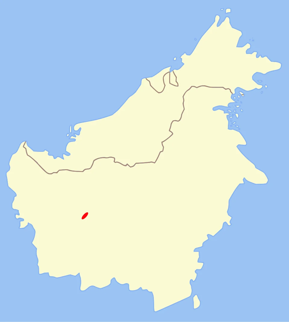 Barbourula kalimantanensis habitat on Borneo; based on [1]