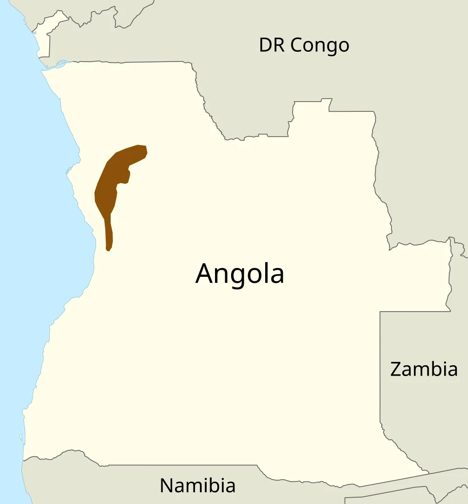 Map showing the range of the Angolan dwarf galago