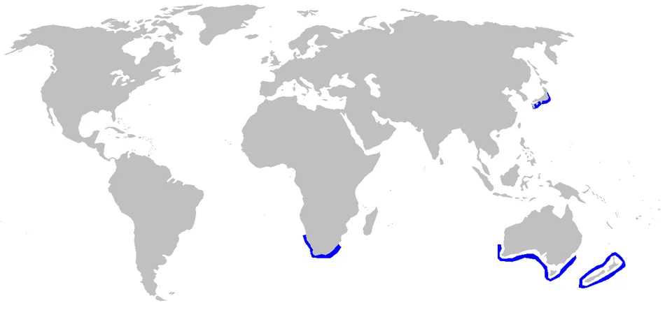 Distribution map for Etmopterus unicolor
