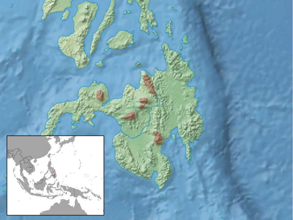 geographic distribution of Tarsomys apoensis