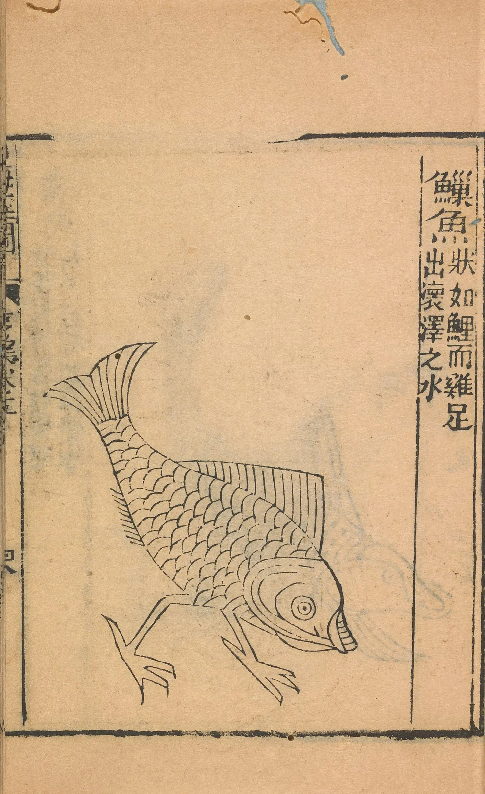 Chao fish, named1667 historical plate