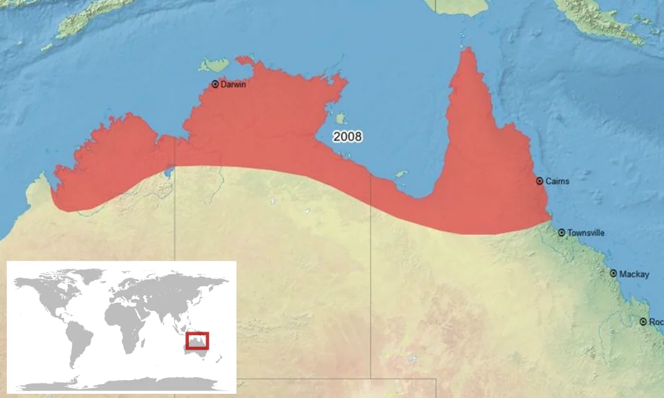 geographic distribution of Litoria pallida