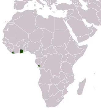 King Genet (Genetta poensis) range