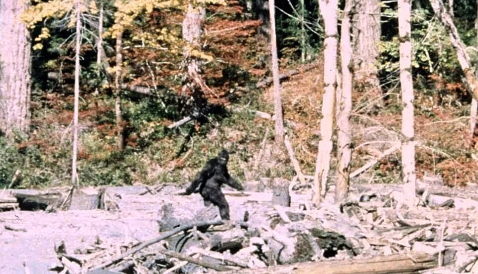 Sa:sq’ets (Sasquatch)